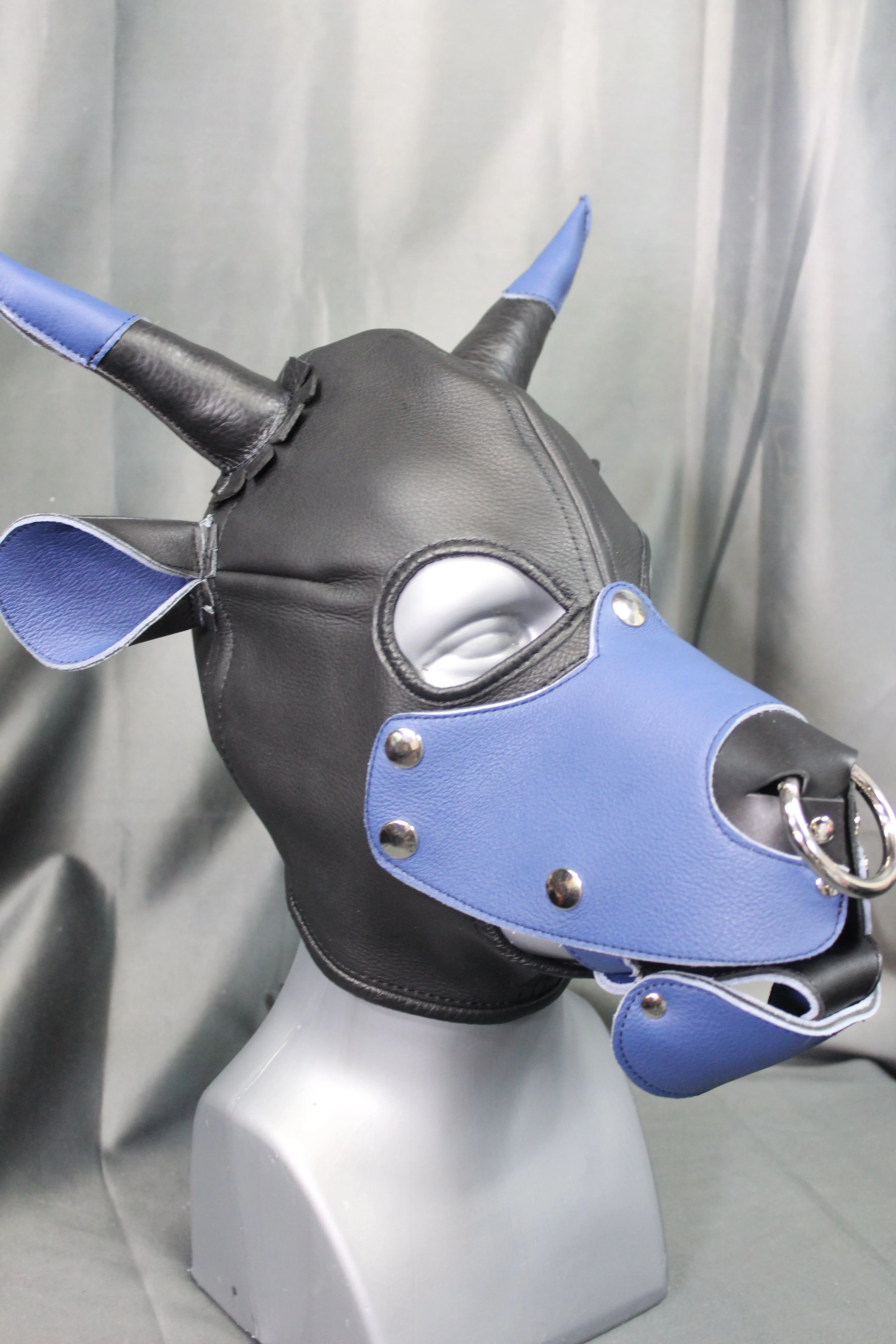 Bull Hoods in COLOR!