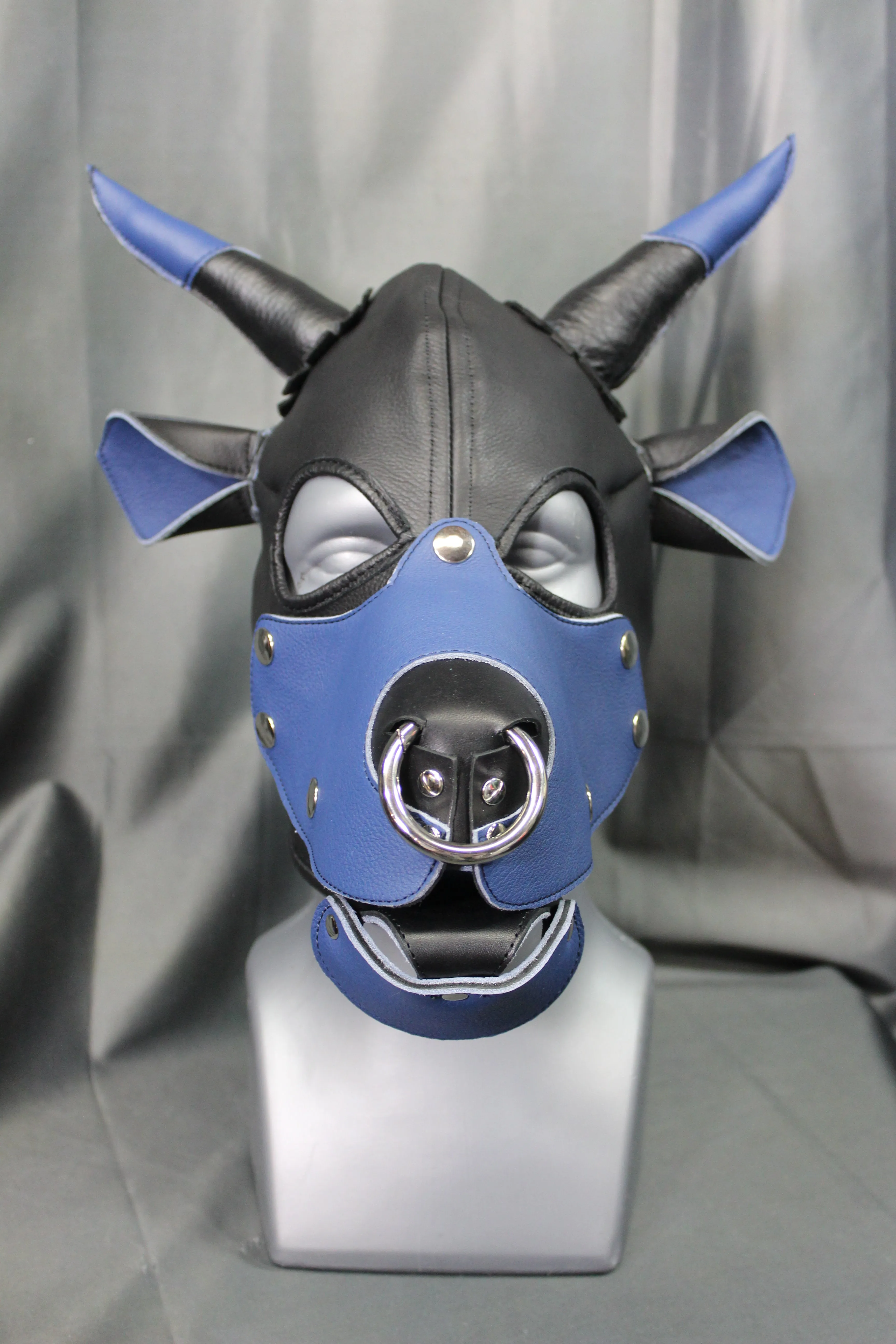 Bull Hoods in COLOR!