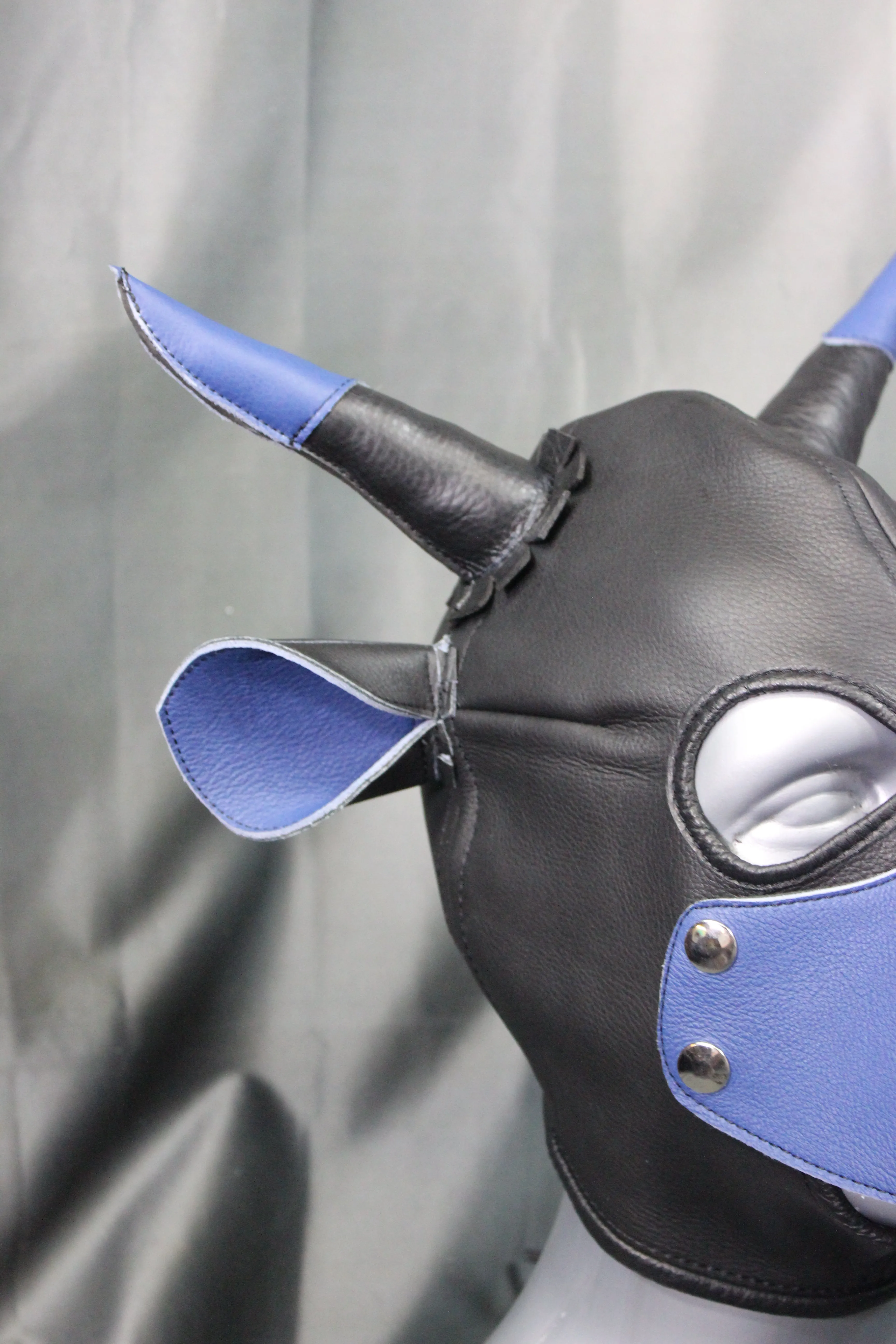 Bull Hoods in COLOR!