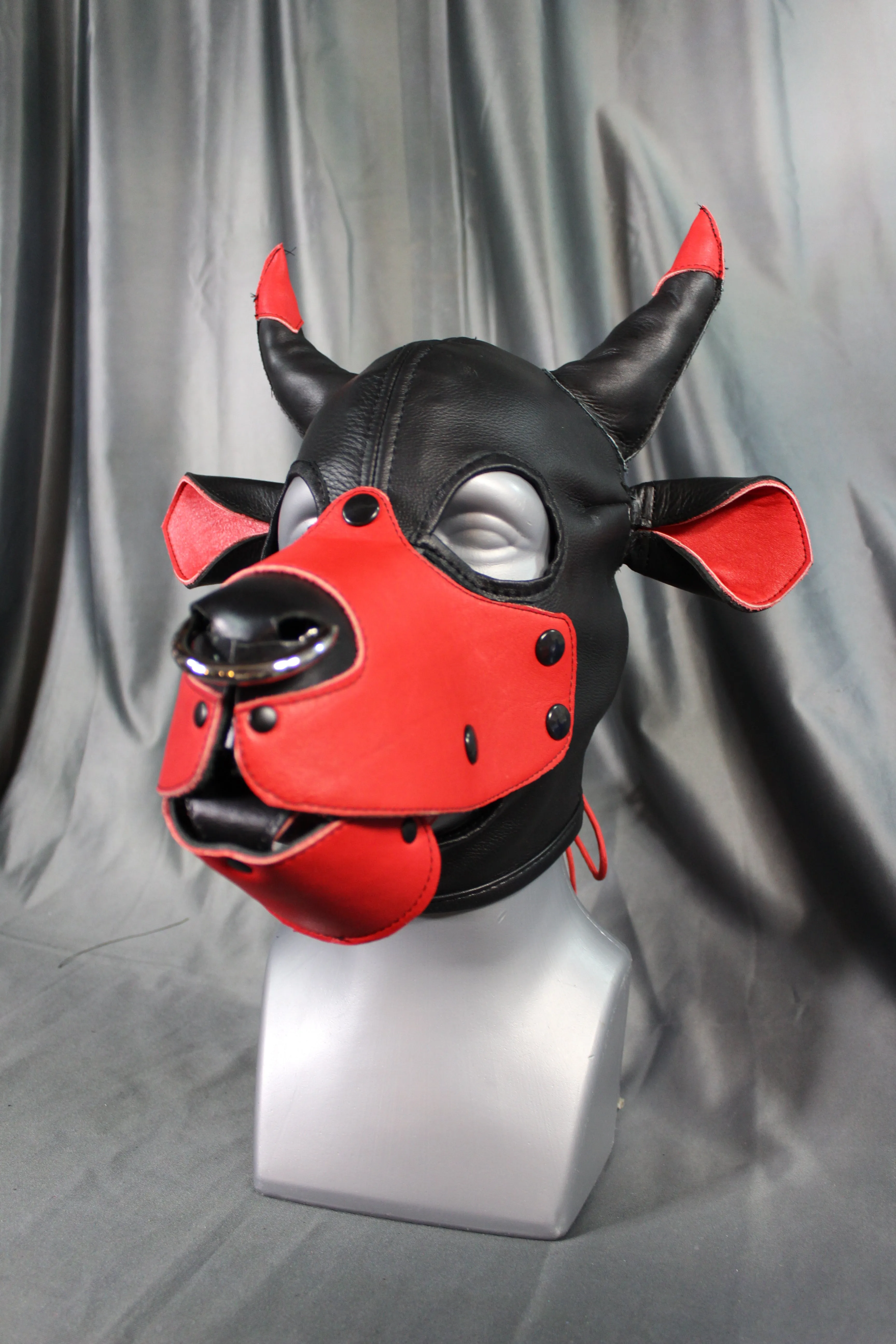 Bull Hoods in COLOR!