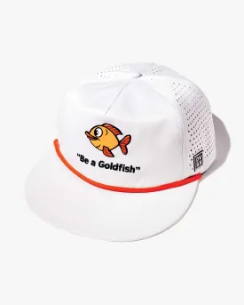 DVRX Goldfish Hat - White