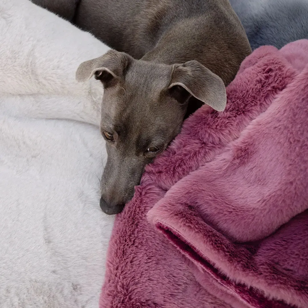 Kuscheldecke für Hunde "Plaid - Deluxe" rose