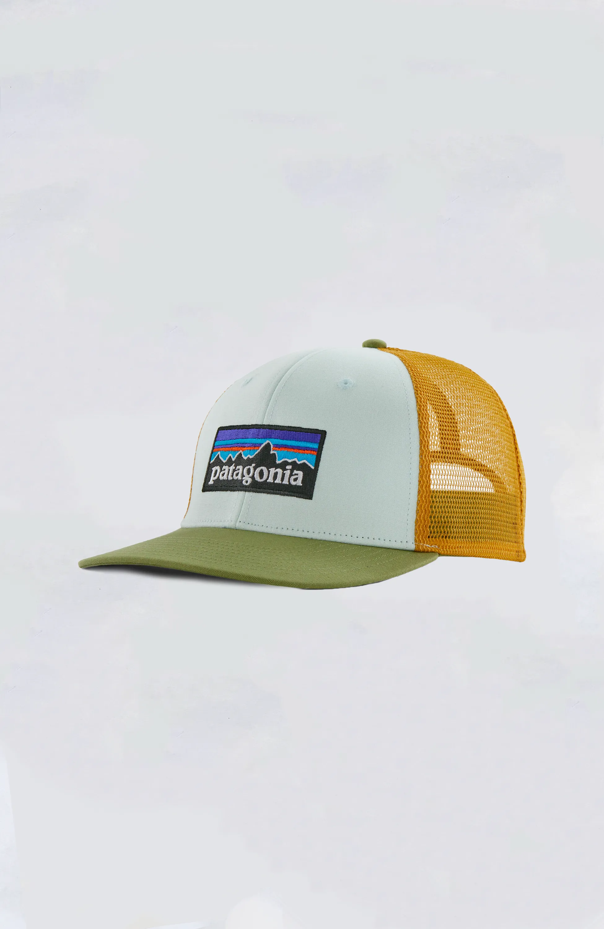 Patagonia - P-6 Logo Trucker Hat