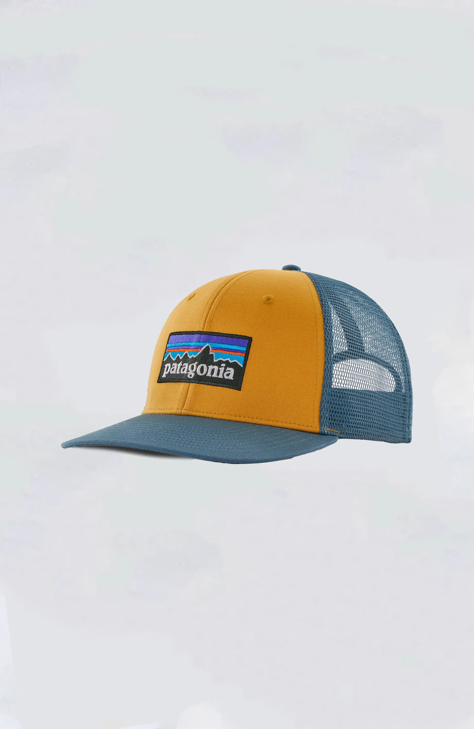 Patagonia - P-6 Logo Trucker Hat