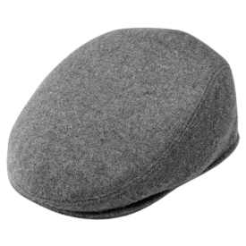 STATUS Canva Flat Grey Cap